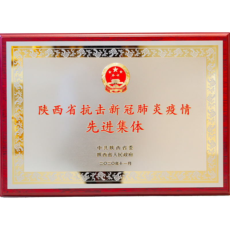 2020年陕西省抗击新冠肺炎疫情先进集体 2020年陕西省抗击新冠肺炎疫情先进集体