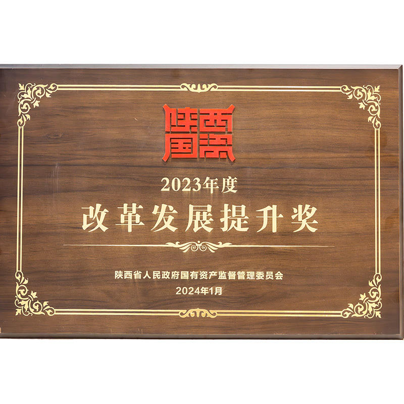 陕西省国资委2023年度改革发展提升奖 陕西省国资委2023年度改革发展提升奖